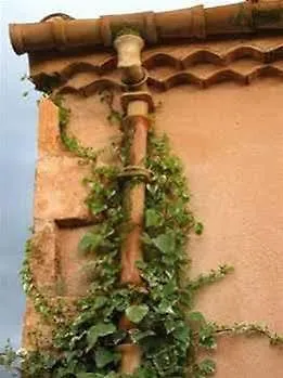 Hotel Dalt La Figuera